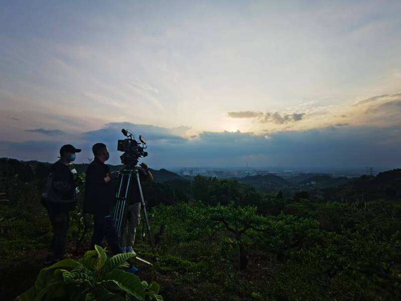 聚焦安阳县产品宣传视频拍摄公司，用专业实力铸就品牌传播传奇