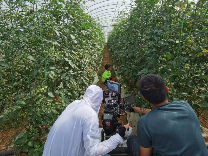 安阳县产品宣传视频拍摄公司进阶指南，助力品牌抢占传播高地